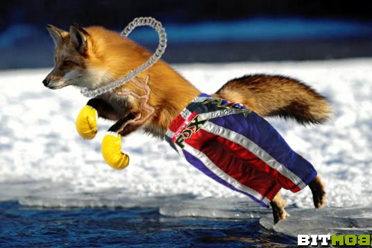 Steve Fox from Street Fighter X Tekken.